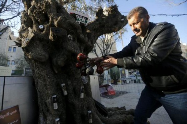 Un hombre palestino decora un árbol con botes de gas lacrimógeno lanzados por soldados israelíes durante enfrentamientos con manifestantes palestinos, antes de la celebración de la Navidad.